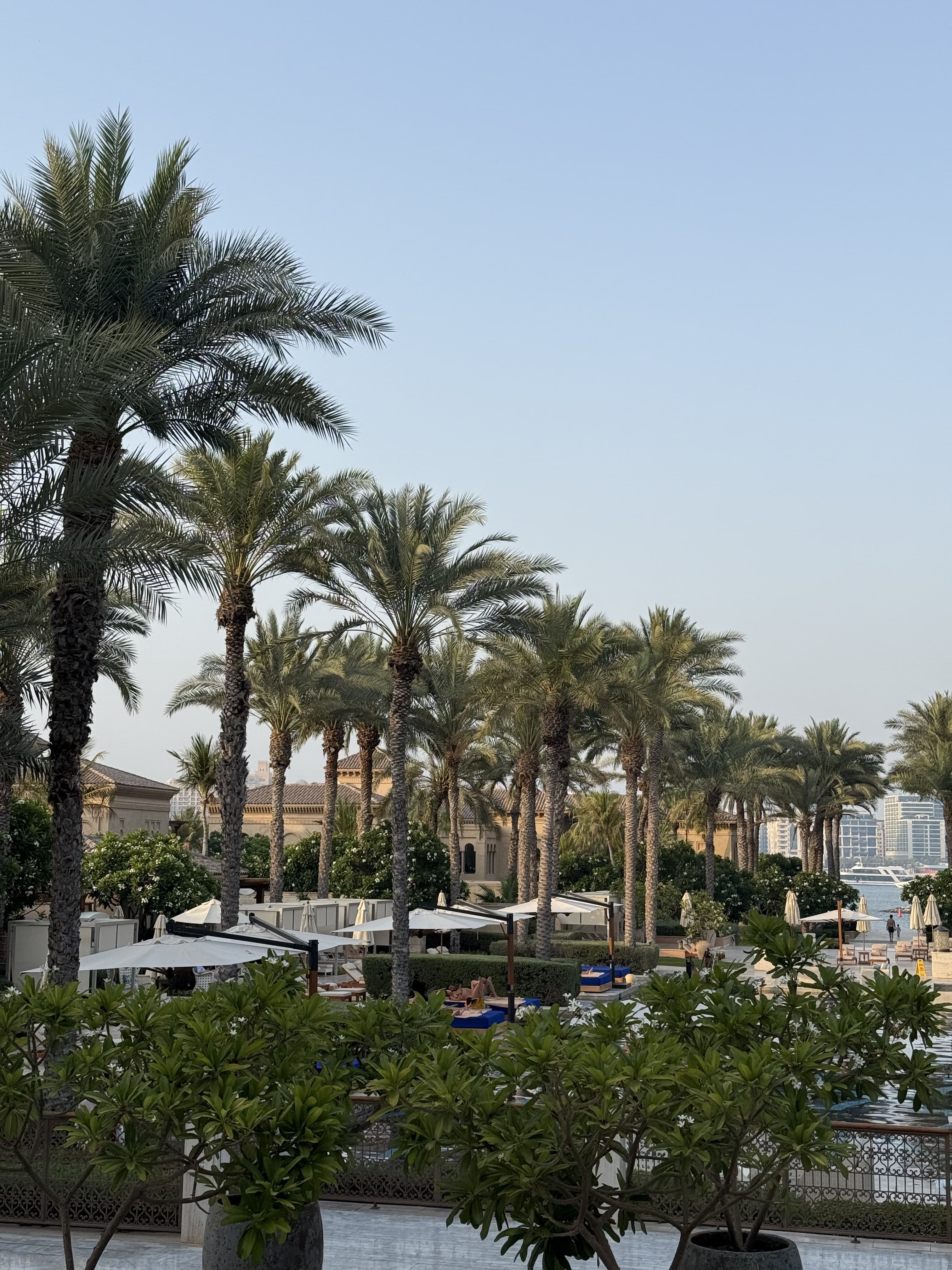 Hotel garden and pool